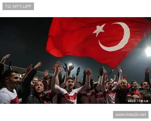 中国对土耳其足球世界杯体育论坛